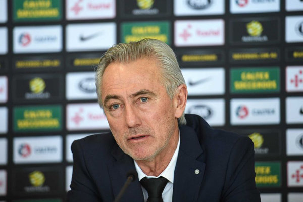 اگر به جام جهانی نرویم باید به هلندبرگردم/به فکر بردن ایران هستم