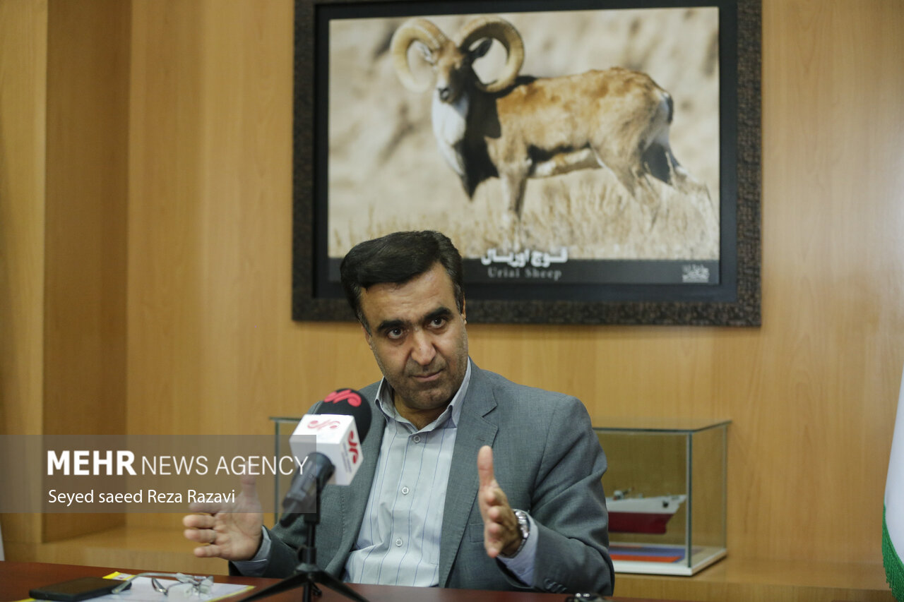 ایران ۵ درصد انتشار گازهای گلخانه ای را کاهش داد