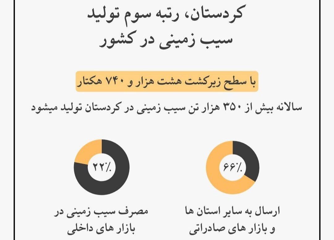 اینفوگرافیک؛ تولید سالانه ۳۵۰ هزار تن سیب زمینی در کردستان