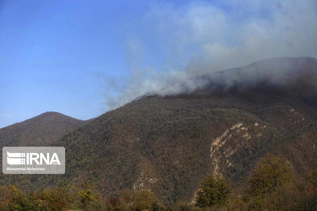 باد گرم و افزایش دما در راه گلستان؛ کابوس آتشسوزی در جنگل هیرکانی