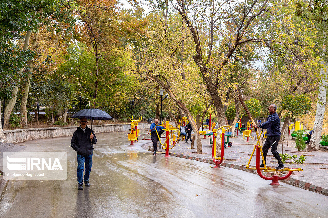 باران پاییزی شرایط کشت پاییزه در مناطق جنوبی گلستان را فراهم کرد