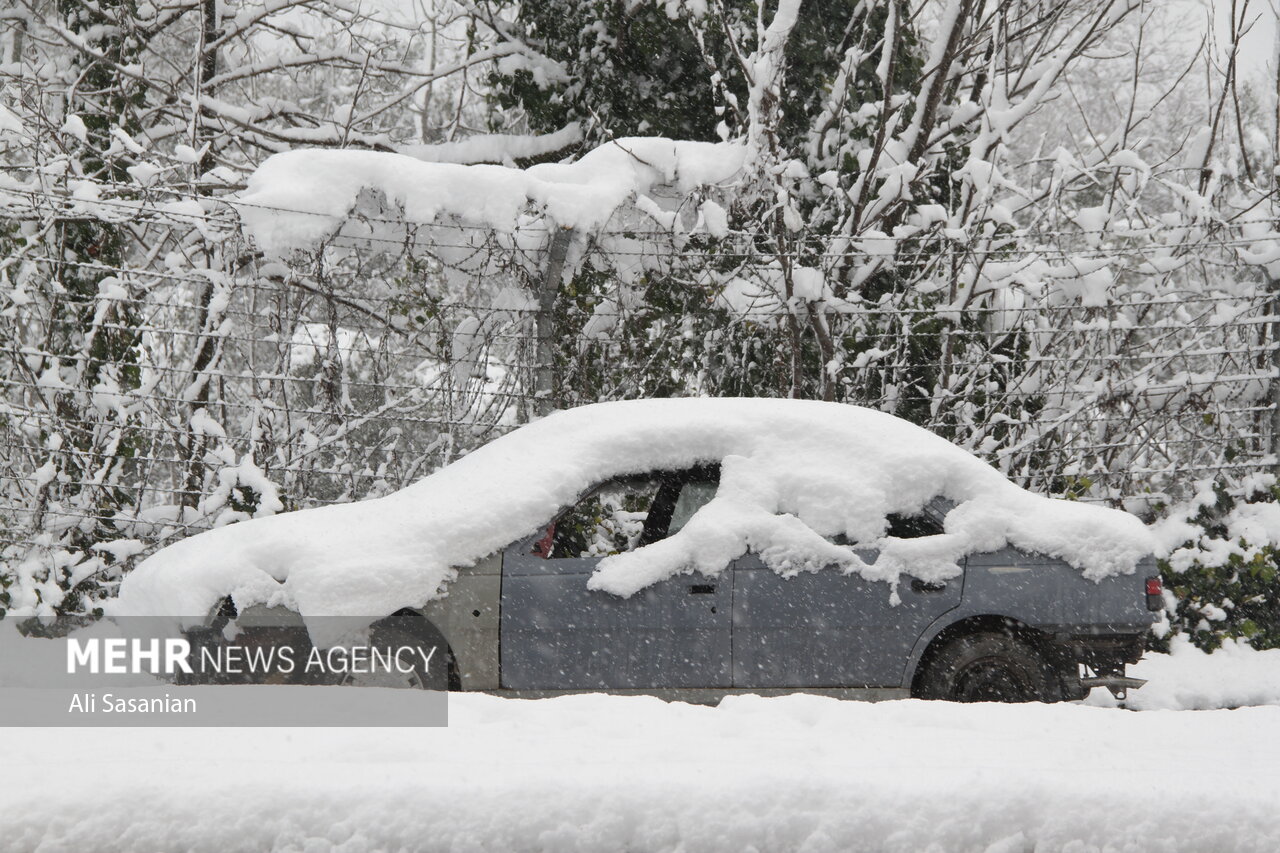 بارش اولین برف پاییزی چهره تکاب را سفیدپوش کرد