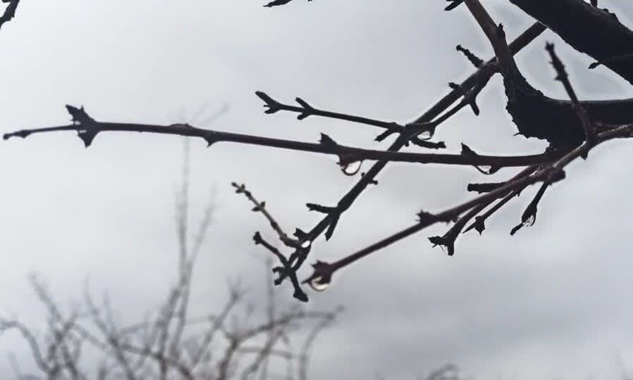 بارش باران تا پایان هفته جاری در آذربایجان غربی تداوم
دارد