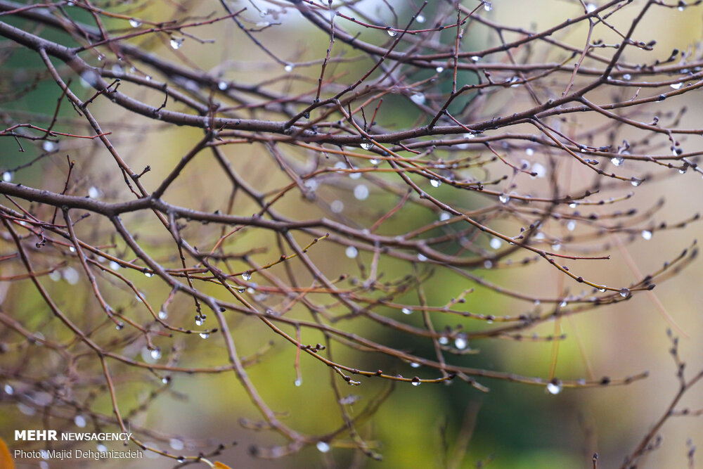 بارش باران و وزش باد شدید در پایتخت تا فردا شب ادامه دارد