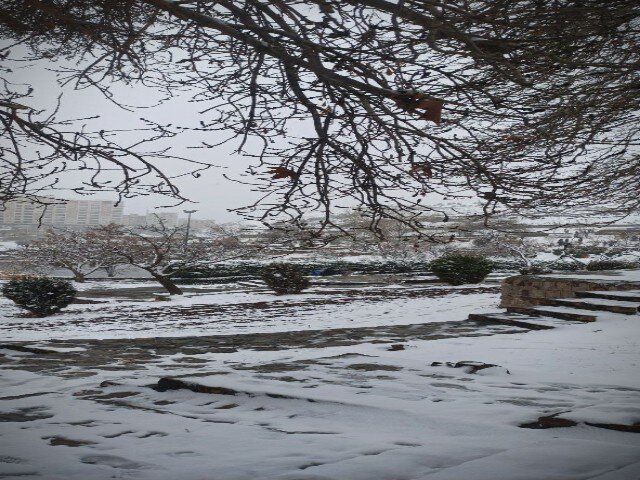 بارش برف در سنندج آبیدر را سفیدپوش کرد