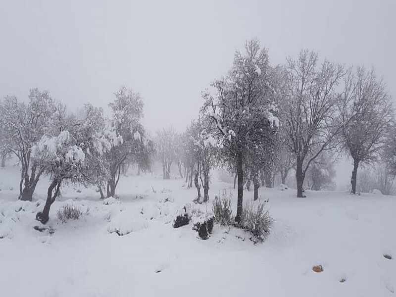 بارش برف و باران در ۱۸ استان/ از سفرهای غیرضروری پرهیز کنید