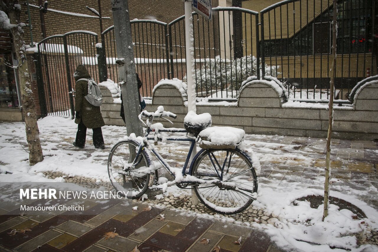 بارش برف و باران درنیمه شمالی استان تهران