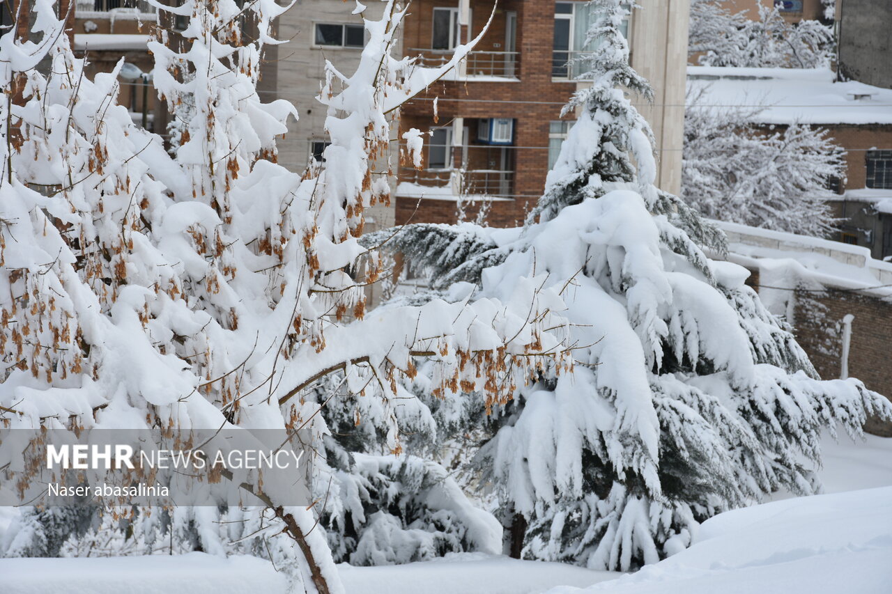 بارش ۴۰ سانتی متری برف در کردستان