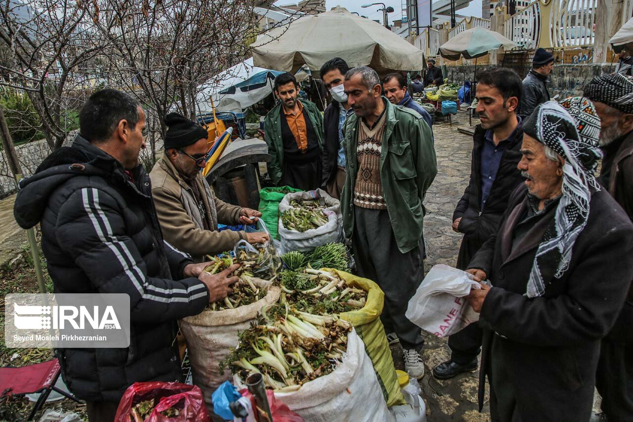 بازار فروش گیاهان بهاری در کردستان