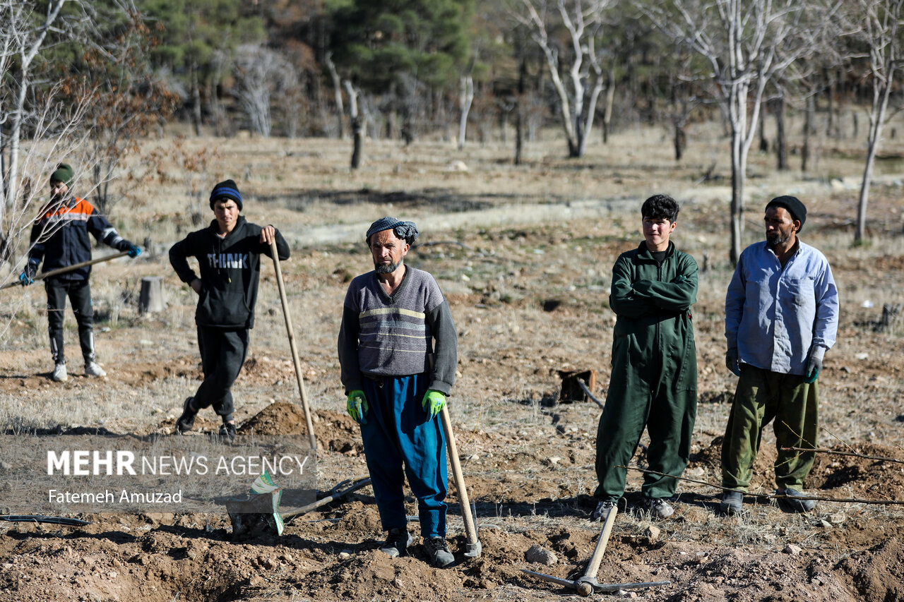 بازدید از پارک جنگلی چیتگر