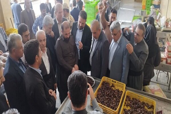 بازدید رییس کمیسیون کشاورزی مجلس از واحدهای تولیدی سردشت