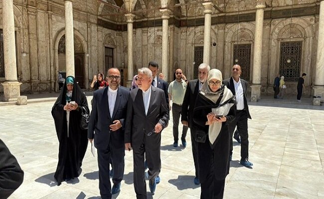 بازدید وزیر میراث‌فرهنگی از مسجد تاریخی محمدعلی