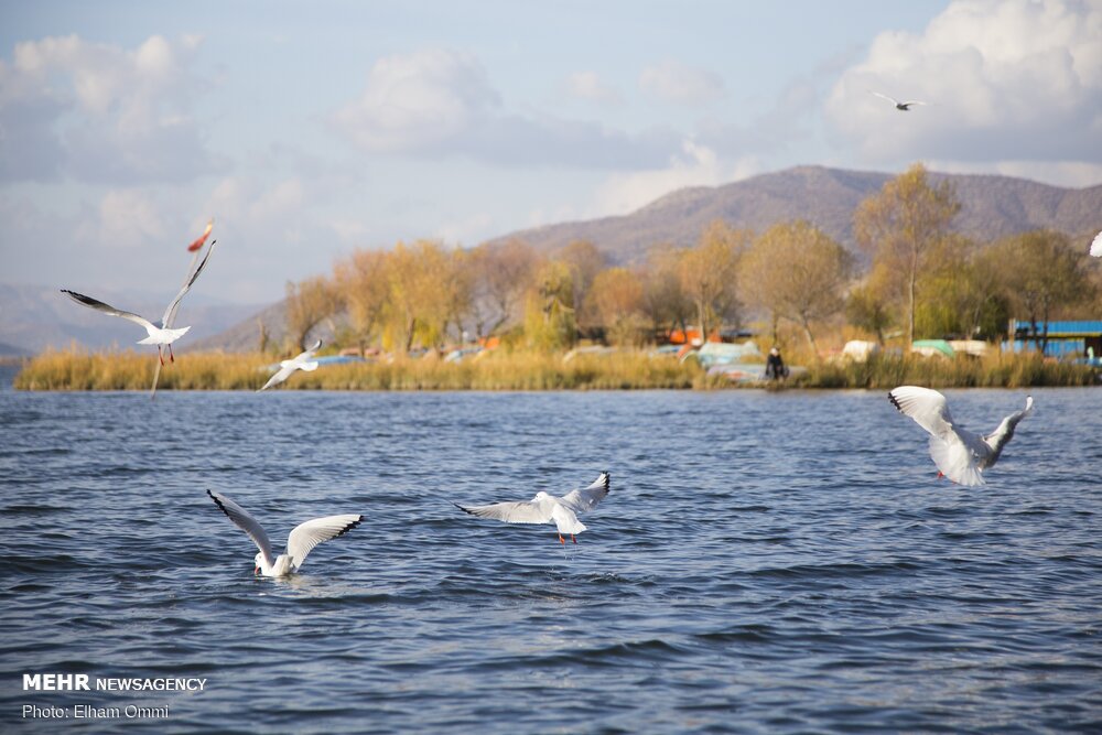 بازدید ۷۶۳ هزار نفر از اماکن طبیعی و گردشگری مریوان