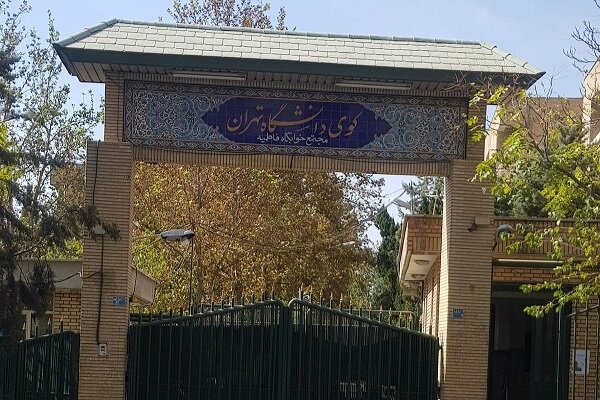 بازسازی صحنه قتل دانشجوی دانشگاه تهران برگزار میشود