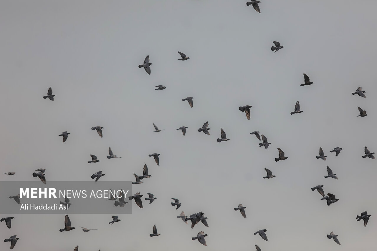 بازگشت دوباره آلاینده ها به آسمان کلانشهرها