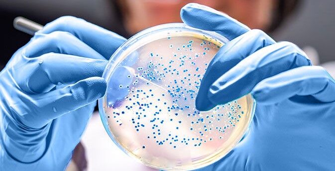 باکتری “شیگلا” عامل بروز بیماری گوارشی در روستای چنارعلیا/ سمی در بدن کودک فوت شده یافت نشد