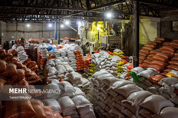 برخورد قاطع قضایی با محتکران برنج