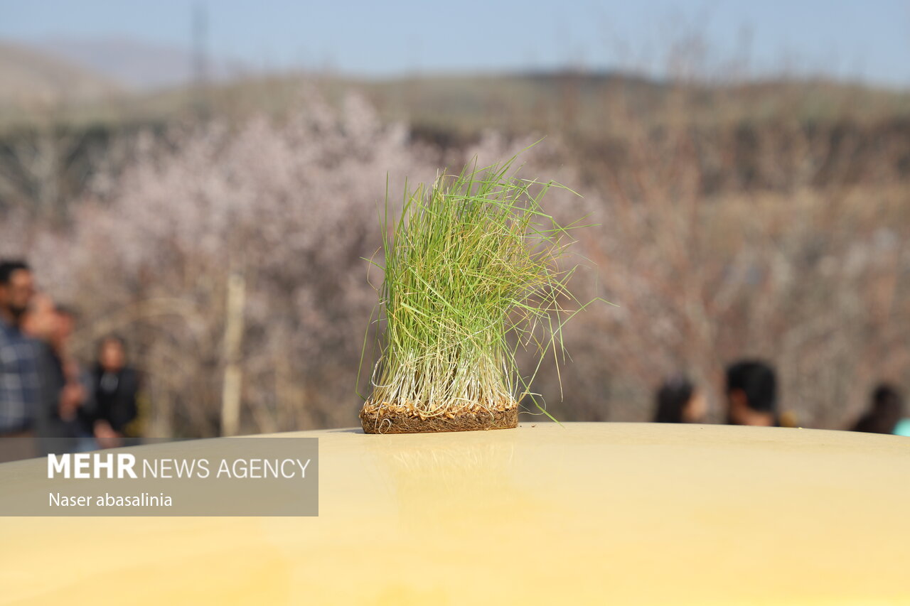 برخورد پلیس با تخلفات ساکن در روز طبیعت