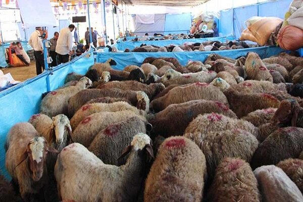 برپایی بزرگ‌ترین قربانگاه شهر تهران برای عید قربان