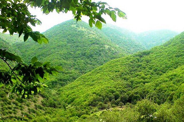 برگزاری برنامه‌های هفته محیط زیست با محوریت سند ارتقای فرهنگ محیط‌زیستی
