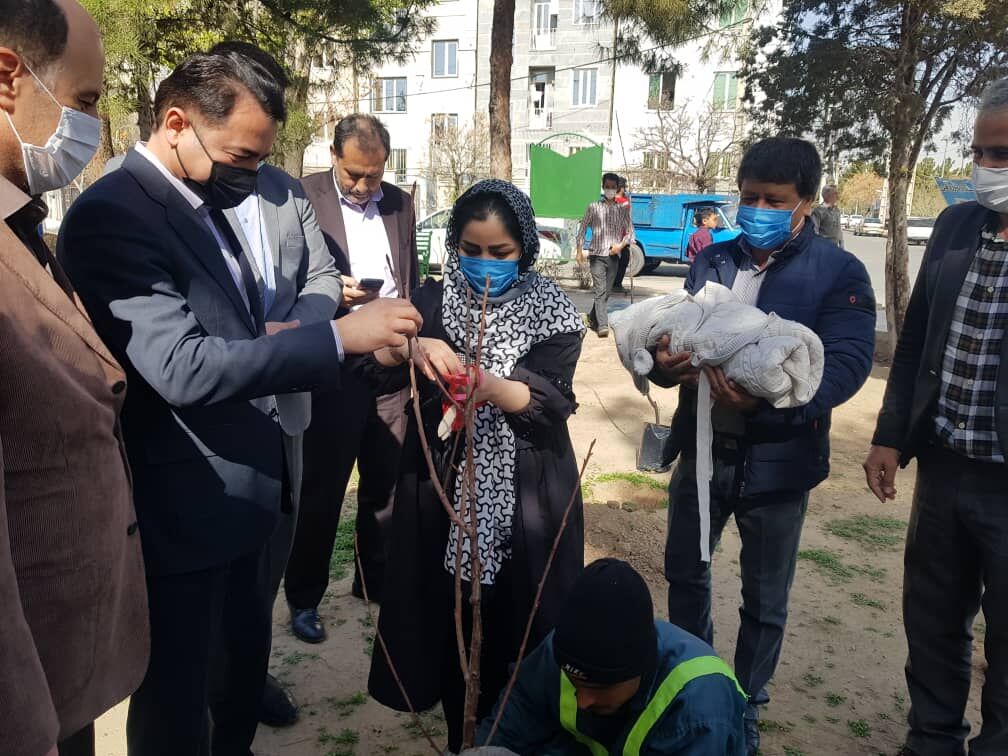 بسته خبری پایتخت؛ از نوزادانی که صاحب نهال شدند تا پویش به عشق مهدی هواتو دارم