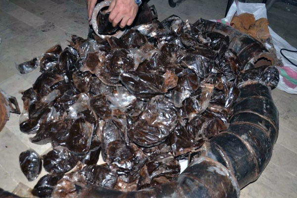 بلع ۱۱۷ بسته تریاک توسط یک سوداگر مرگ در رباطکریم