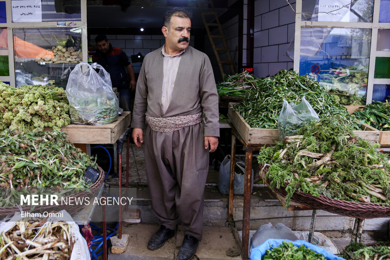 بهار و رونق بازار گیاهان خوراکی کردستان