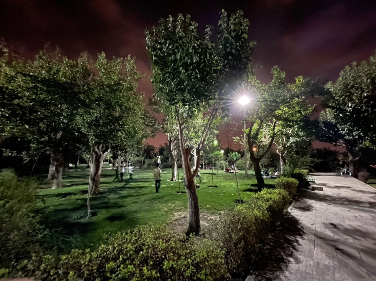 بوستان های کوهسار و جوانمردان تهران تعطیل شد