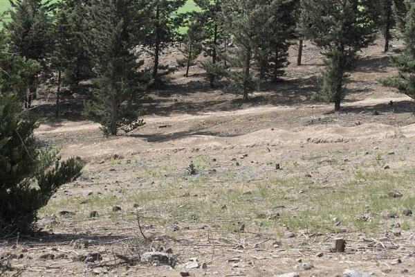 بوستان «کوهسار» تا اطلاع ثانوی تعطیل شد