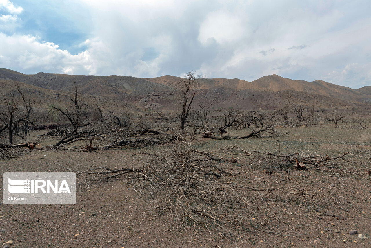 بیابان‌زایی در کشور با سرعت یک میلیون هکتار در سال