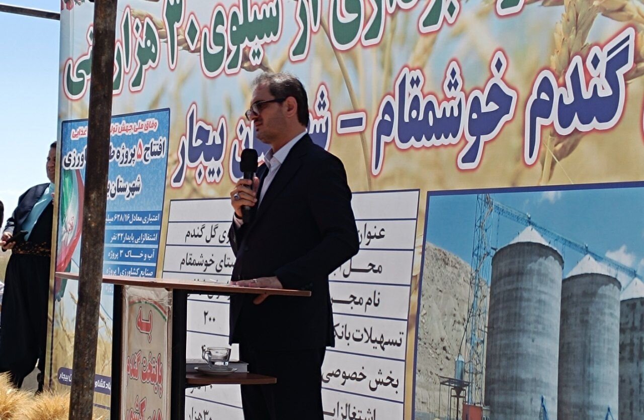 بیجار رکورددار تولید گندم دیم در کشور است/ لزوم ایجاد سیلو
گندم