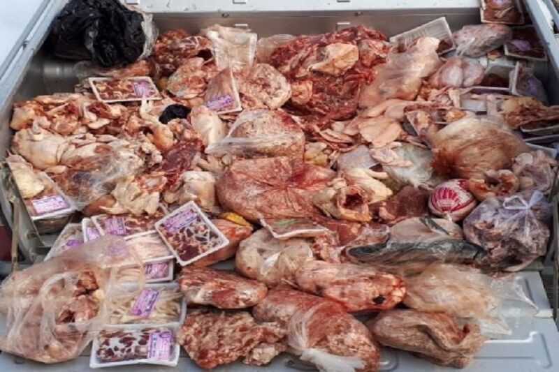 بیش از ۱۰ تن گوشت فاسد در مریوان معدوم شد