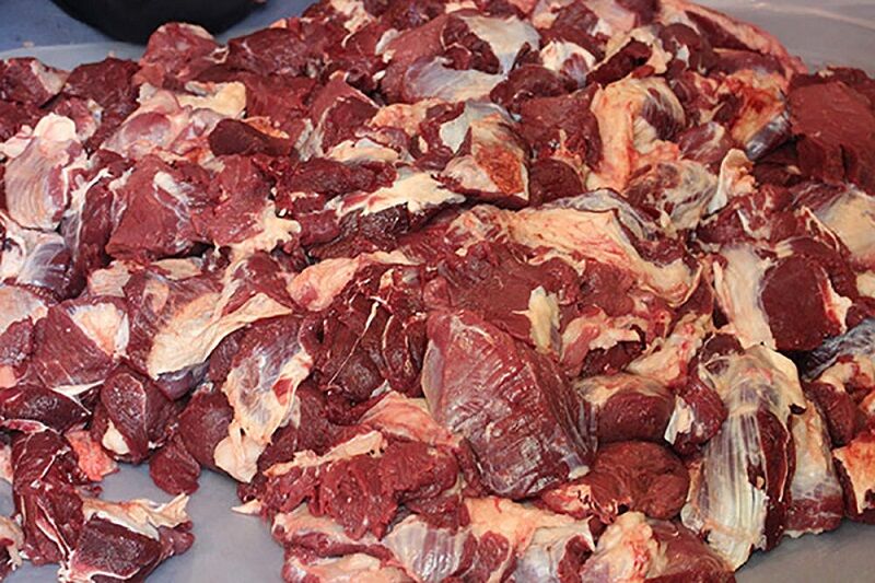 بیش از ۶۴ تُن فرآورده خام دامی فاسد در کردستان کشف و ضبط شد