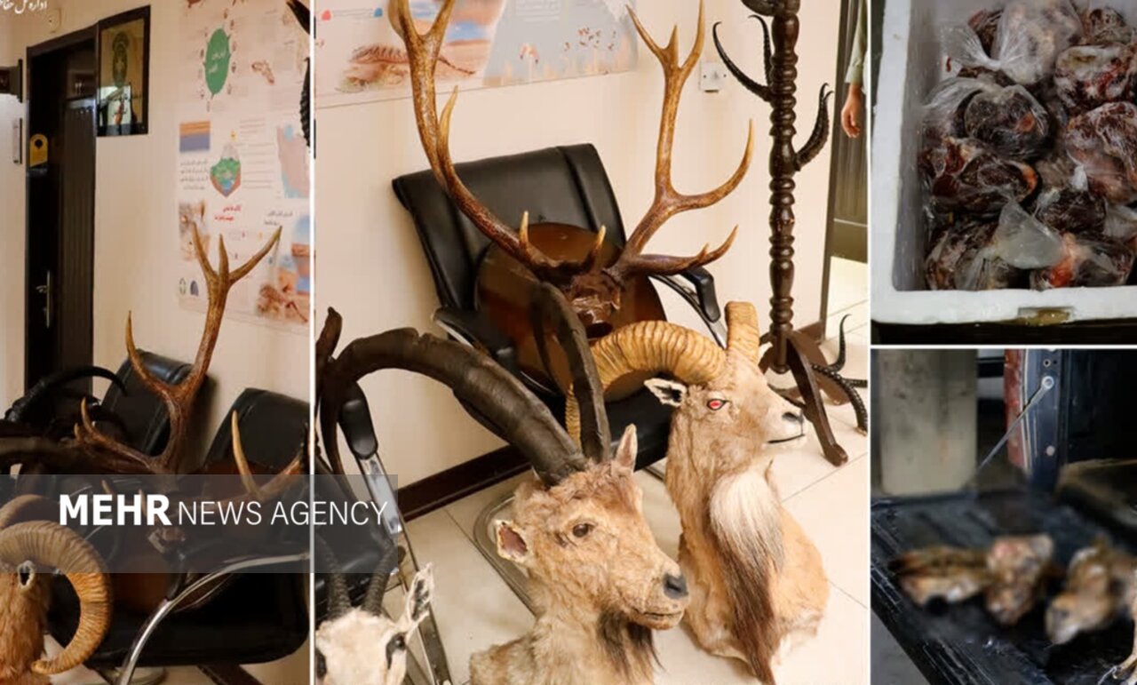 تاکسیدرمی‌های حیات وحش از منازل شکارچیان سابقه‌دار اصفهان جمع آوری شد