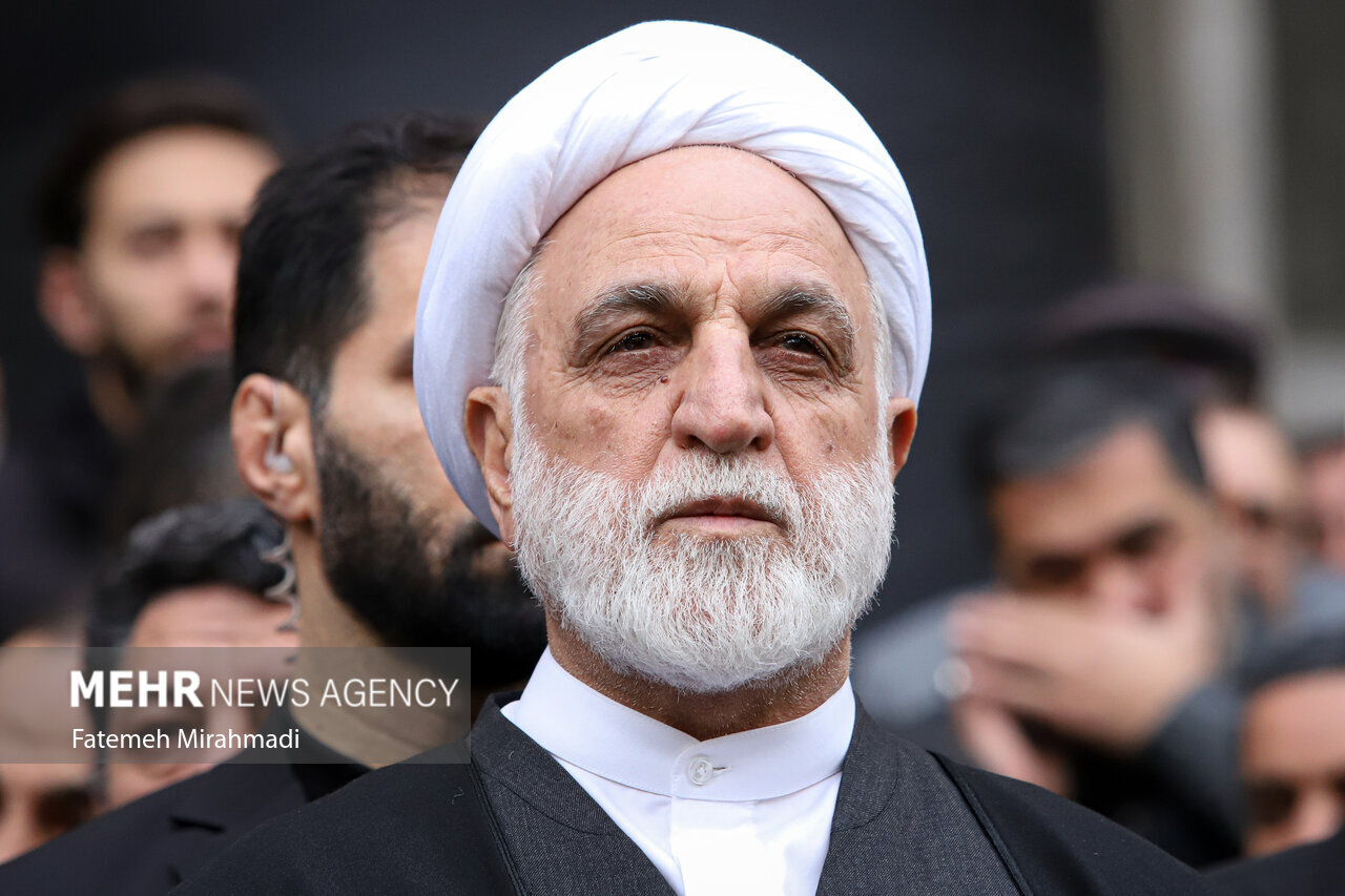 تاکید بر ظرفیت کشورهای سازمان شانگهای برای توسعه تعاملات قضایی