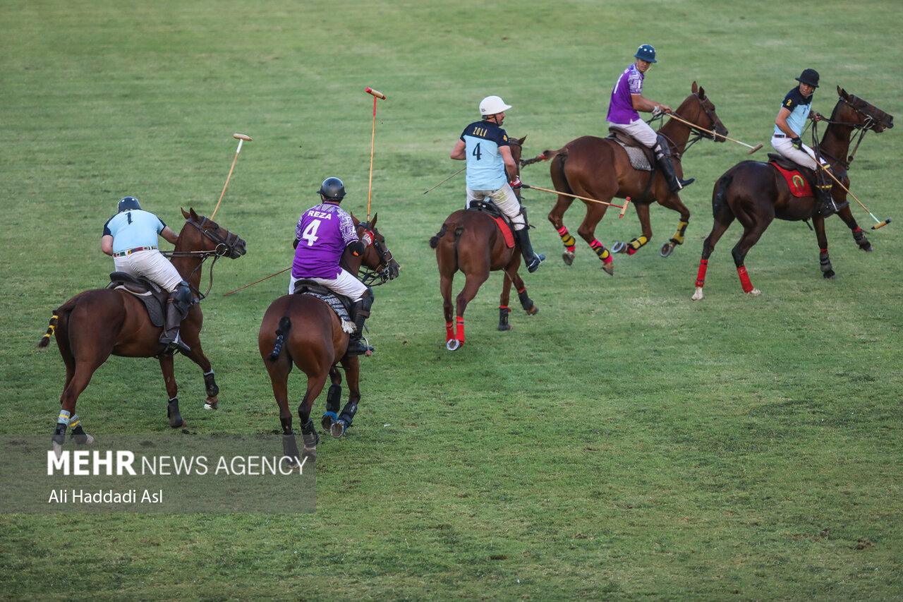 تاکید دوباره بر بازنشستگی رئیس چوگان/ چرا ورود جدی نمیشود؟