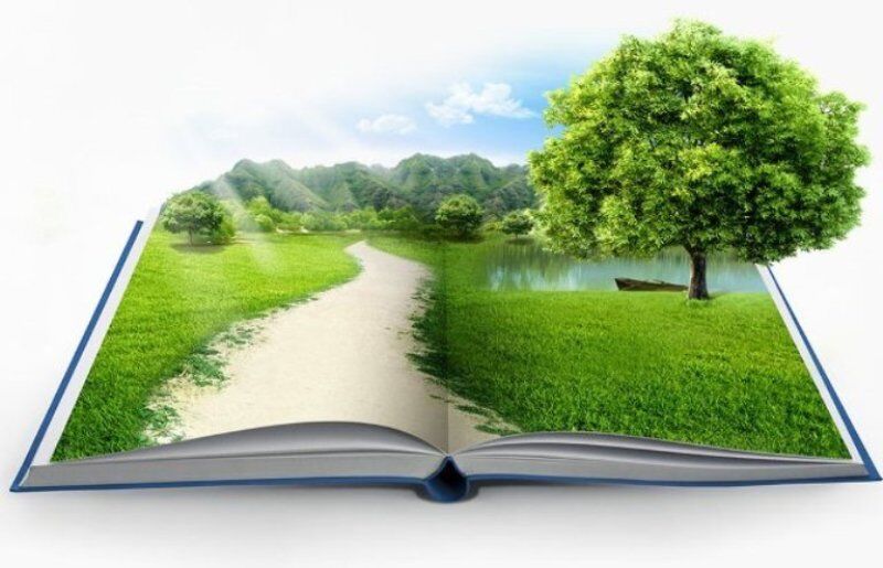 تاکید دولت سیزدهم بر ترویج آموزش‌های محیط‌زیستی