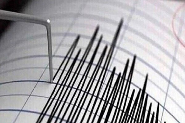 تایید فوت یک نفر براثر سقوط تیر برق به دنبال زلزله در بندرعباس