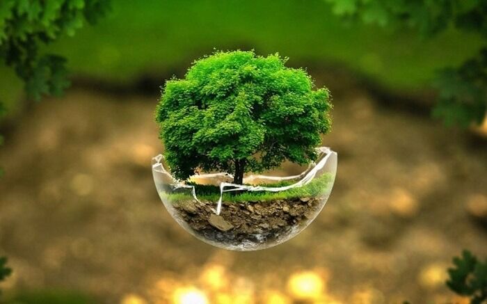 تحقق توسعه پایدار بدون توجه به مسائل محیطزیست و منابع طبیعی میسر نیست