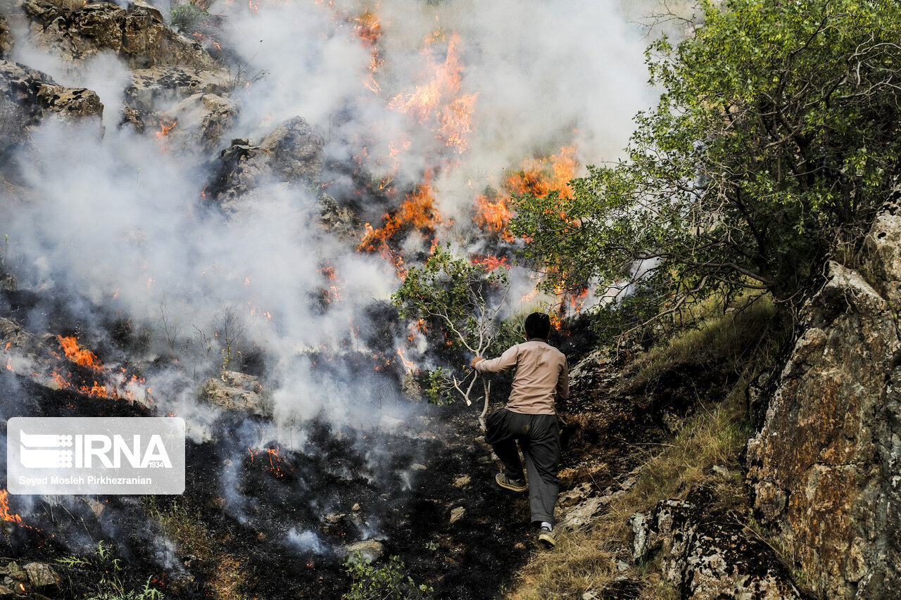 تخصیص ۱۷ میلیارد تومان برای اطفاء حریق/ در ۵ ماه اول سال ۸۶۷ هکتار در آتش سوخت