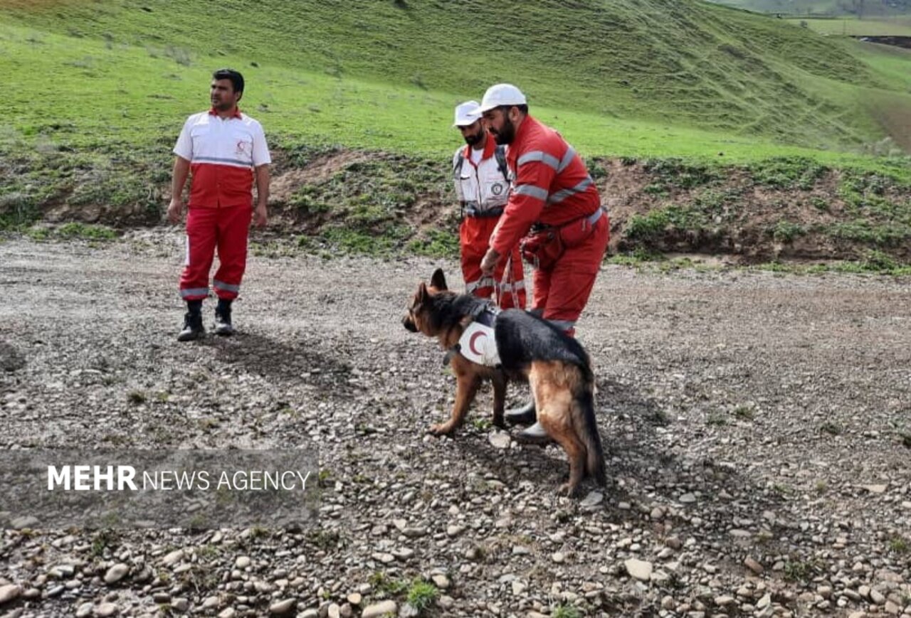 تداوم اجرای پروژه تربیت و آموزش سگهای جدید ردیاب هلال احمر