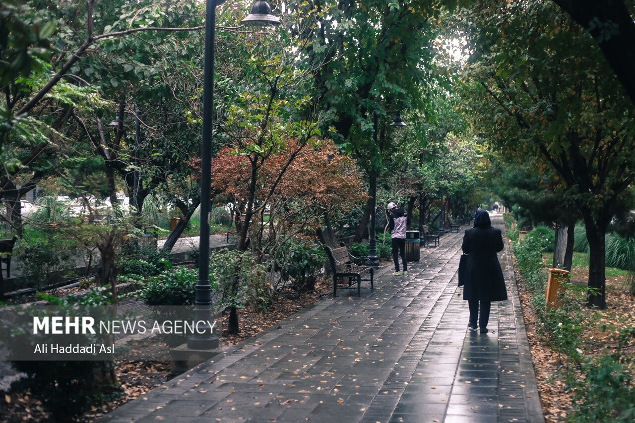 تداوم نم نم باران پاییزی در استان اردبیل تا روز دوشنبه