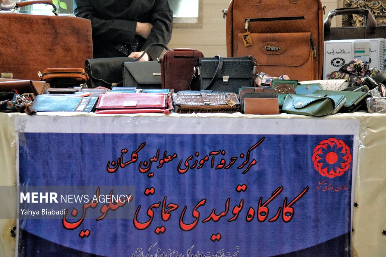 تدوین بیش از ۲۰۰ برنامه تحولی در بهزیستی