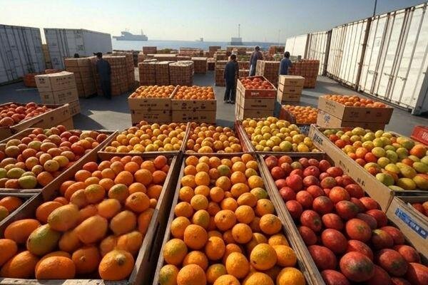تسریع در ترخیص کالاهای فاسدشدنی و انبارهای گمرکات کردستان ضروری است