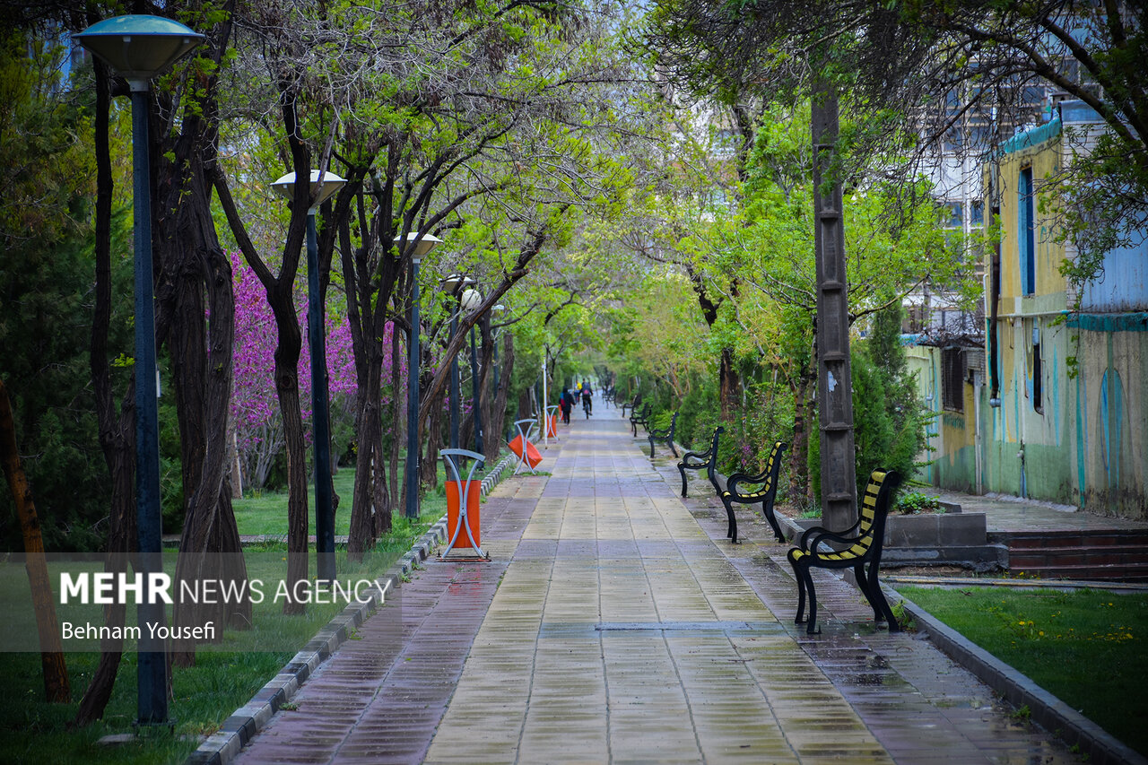 تشدید بارش‌ها در نوار شمالی کشور