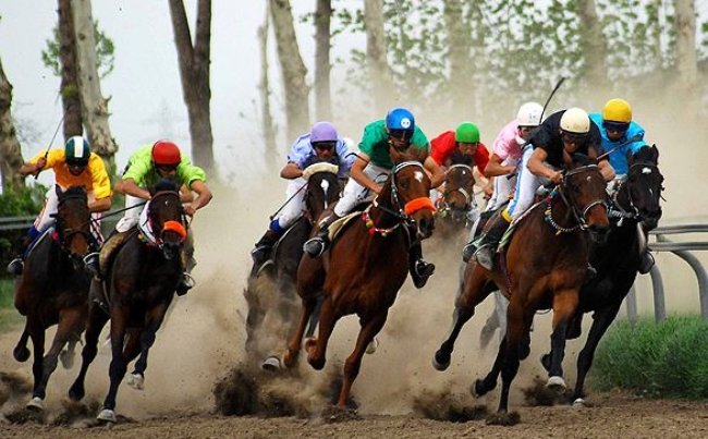 تصمیم عجیب وزارت ورزش در سوارکاری/ فرد ردِ صلاحیت شده سرپرست شد!