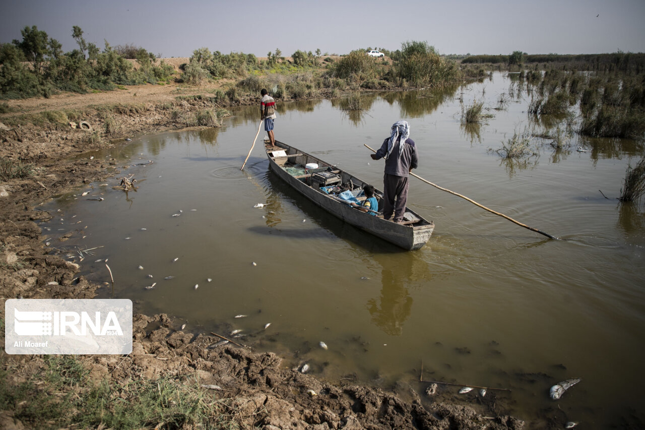 تغییر رویکرد از حفظ پهنه آبی تالاب به مدیریت یکپارچه حوضه آبریز