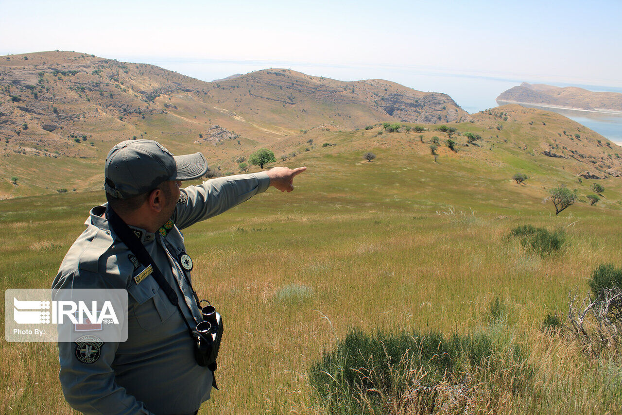 تقاضای تجدیدنظر در پرونده محیطبان کرمانشاهی