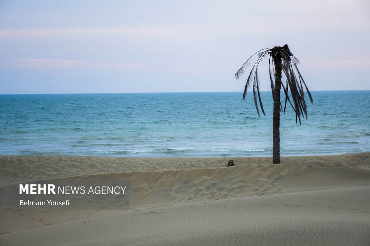 تلاقی کویر و دریا