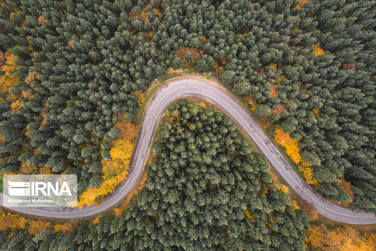 تلهکابین علیآباد در عرصه جنگل هیرکانی نیست/ هیج درختی قطع نمیشود